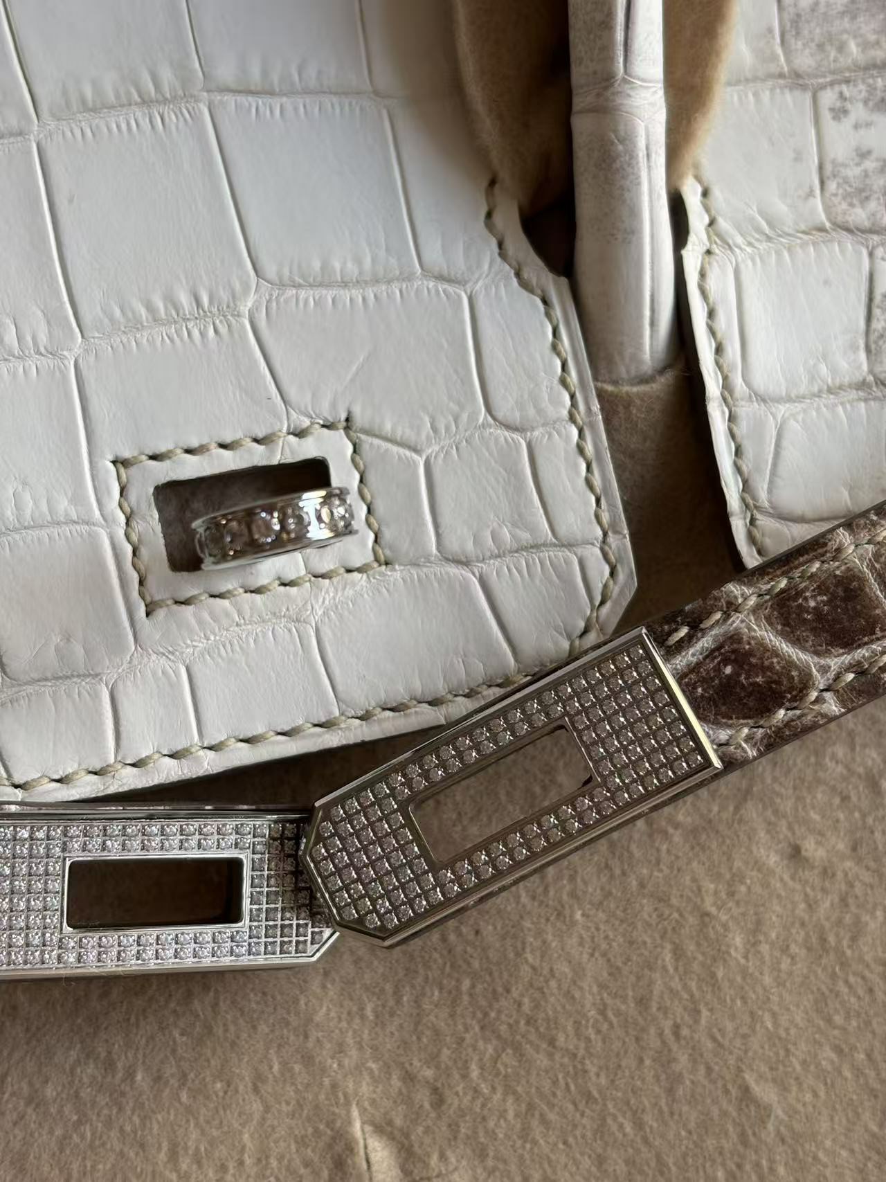 Macro view of a diamond Himalayan Birkin hardware plaque, shown on a finished bag.