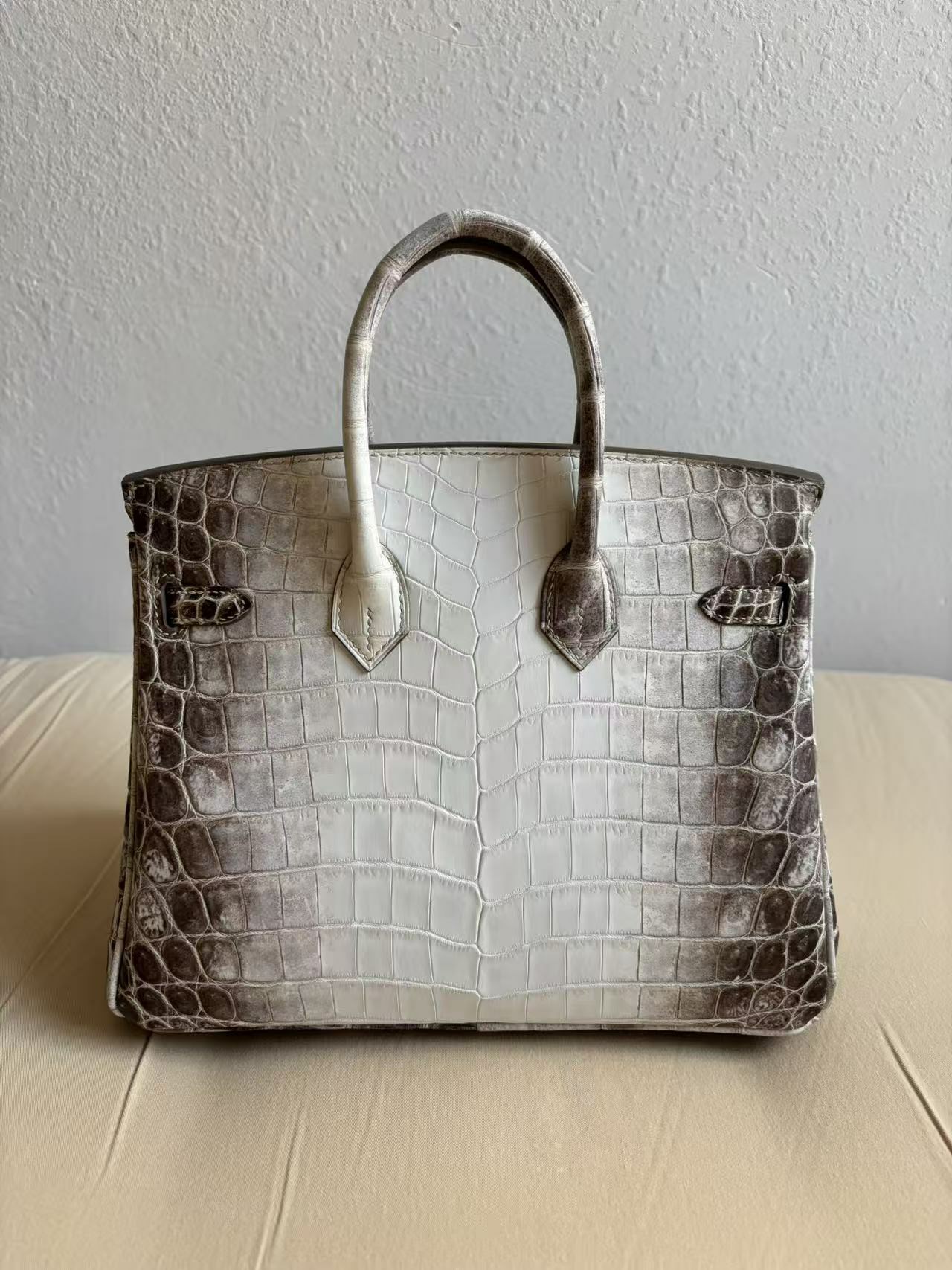 Rear view of a custom Himalaya Birkin, demonstrating the perfect scale symmetry across the entire bag back