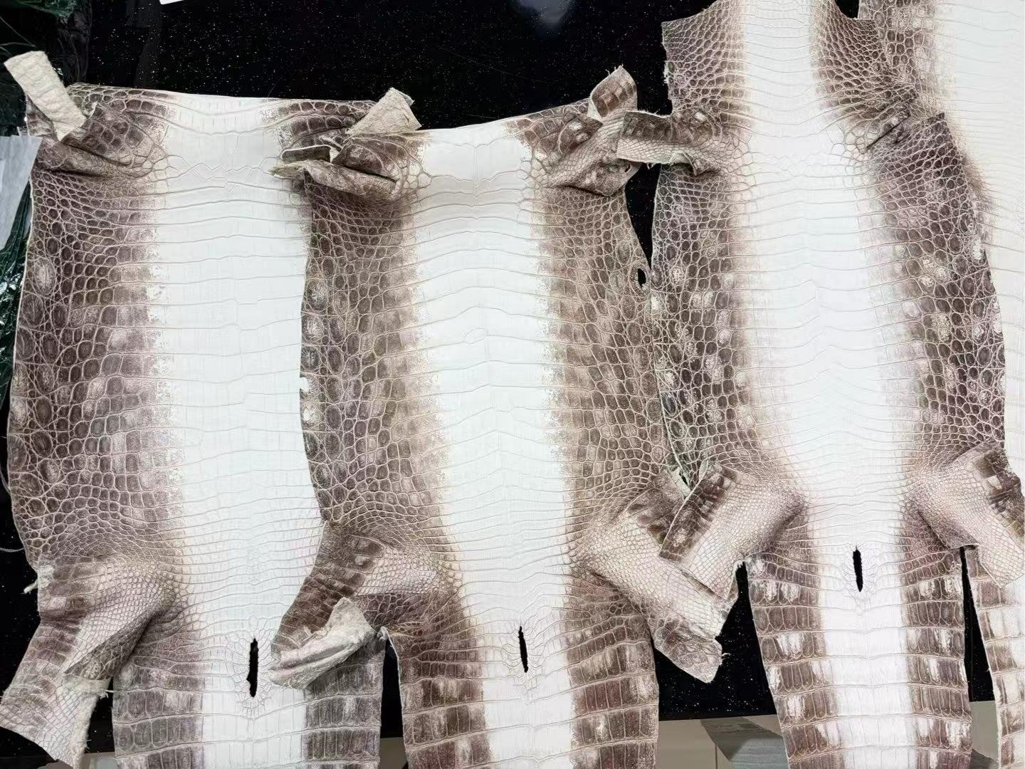 Selection of raw Nile crocodile skins (HCP, France) for crafting a Himalayan Birkin bag, showcasing the natural Ombré white and smoky grey gradient prior to cutting.