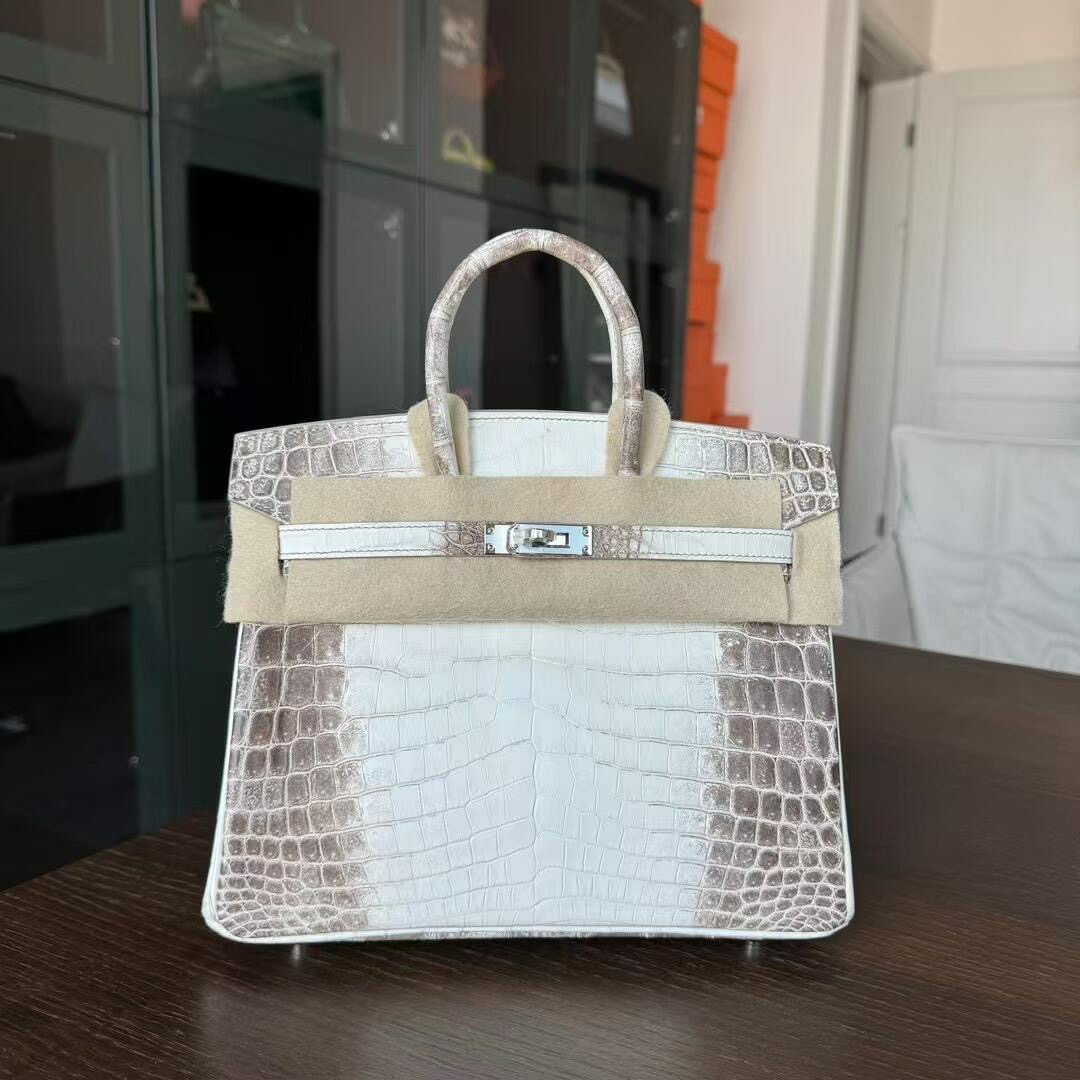 Front view of a Himalayan crocodile Birkin displayed on a table